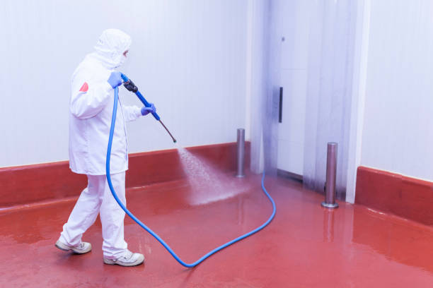 Best Parking Lot Cleaning in El Dorado Hills, CA